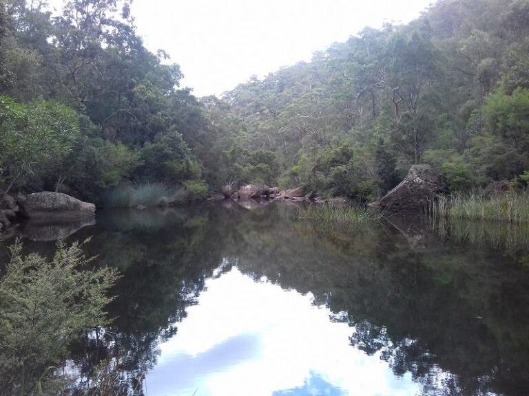 blue pool blue mountains national park new south wales 1 768x576