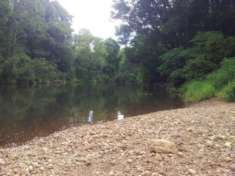 coopers creek rosebank new south wales 1 768x576