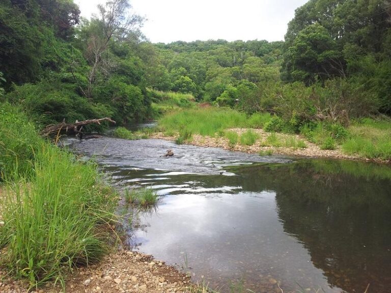 coopers creek rosebank new south wales 768x576