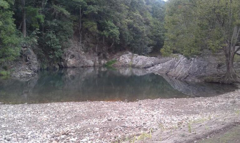 currumbin rock pools currumbin valley queensland 2 768x459