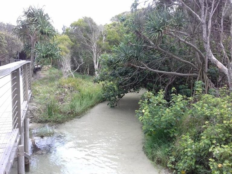 eli creek fraser island queensland 1 768x576