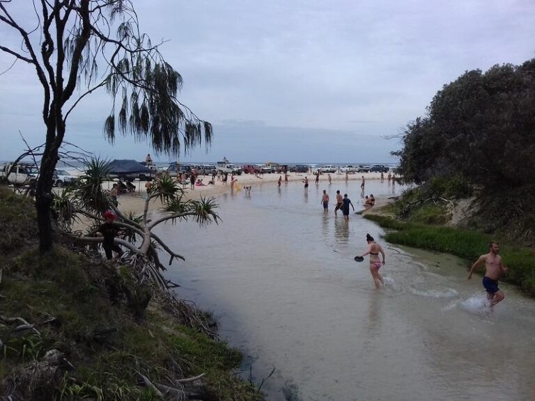 eli creek fraser island queensland 768x576