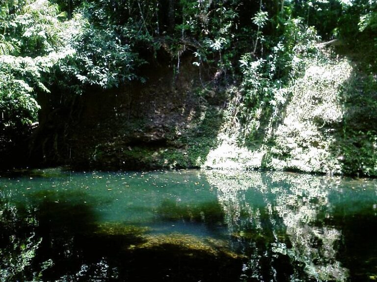emmagen creek cape tribulation queensland 1 768x576