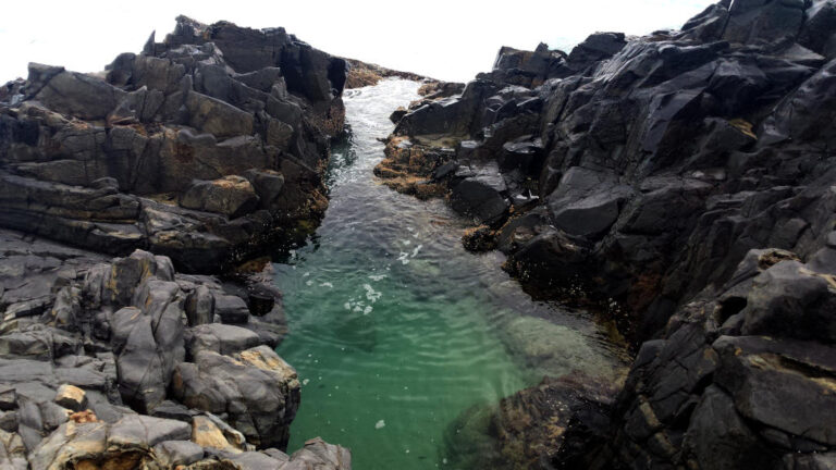 fairy pools noosa national park queensland 01 768x432