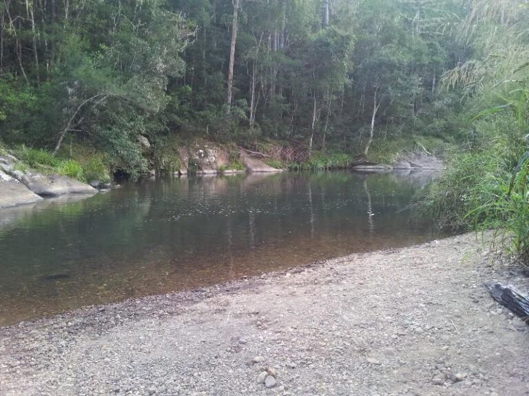 forest park swimming hole numinbah valley queensland 1 768x576