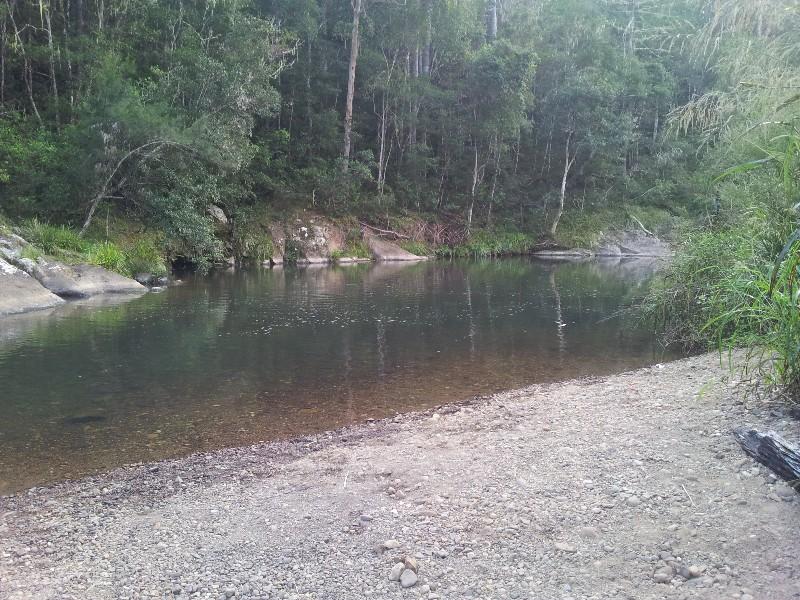 forest park swimming hole numinbah valley queensland 1