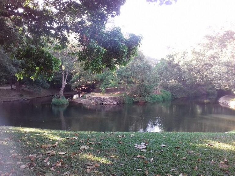 freshwater creek swimming hole freshwater queensland 1 768x576