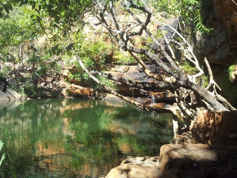 galvans gorge mount barnett western australia 1 768x576