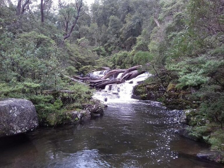 gloucester falls barrington tops national park new south wales 1 768x576