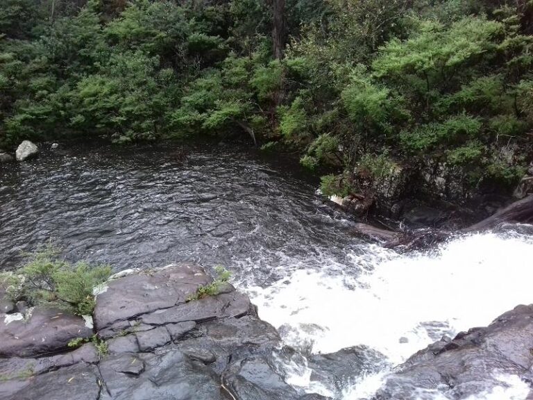 gloucester falls barrington tops national park new south wales 768x576