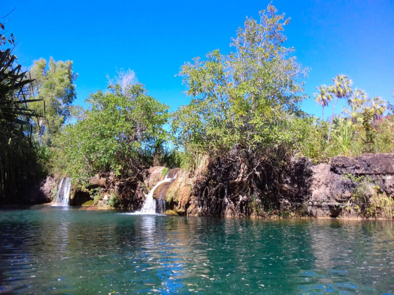 indarri falls lawn hill national park queensland 1 768x576