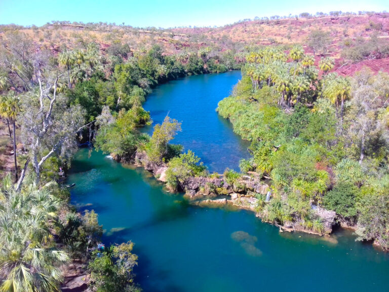 indarri falls lawn hill national park queensland 2 1 768x576