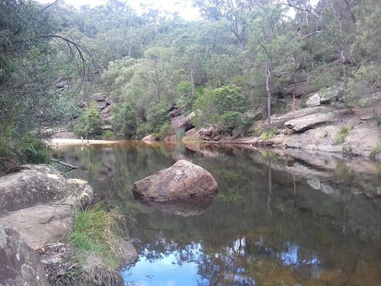 jellybean pool blue mountains national park new south wales 1 768x576