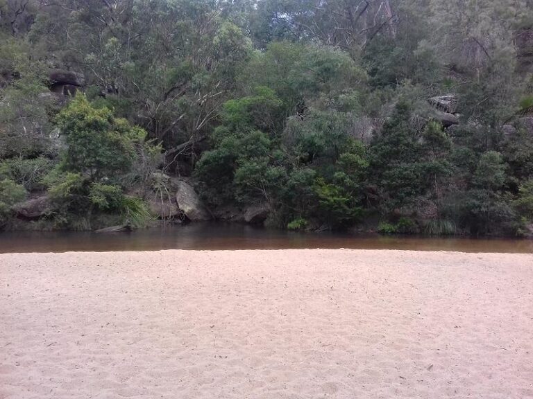 jellybean pool blue mountains national park new south wales 2 768x576