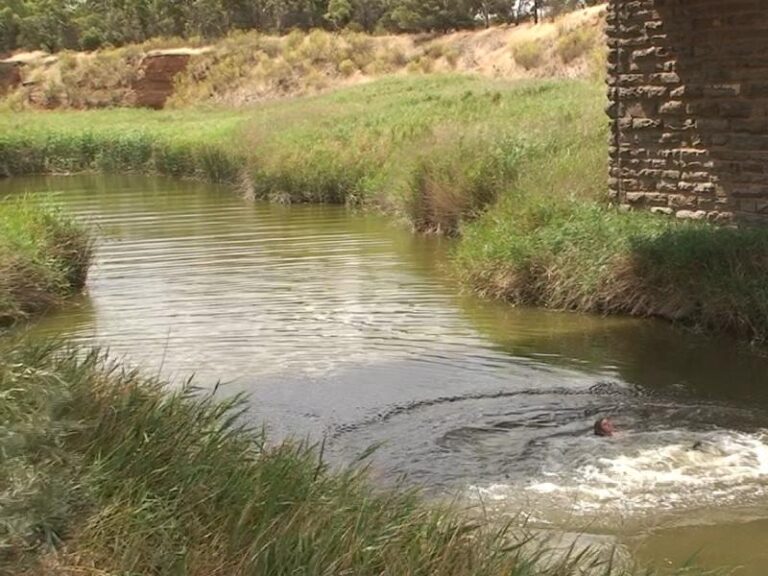 kapunda swimming hole kapunda south australia 2 768x576