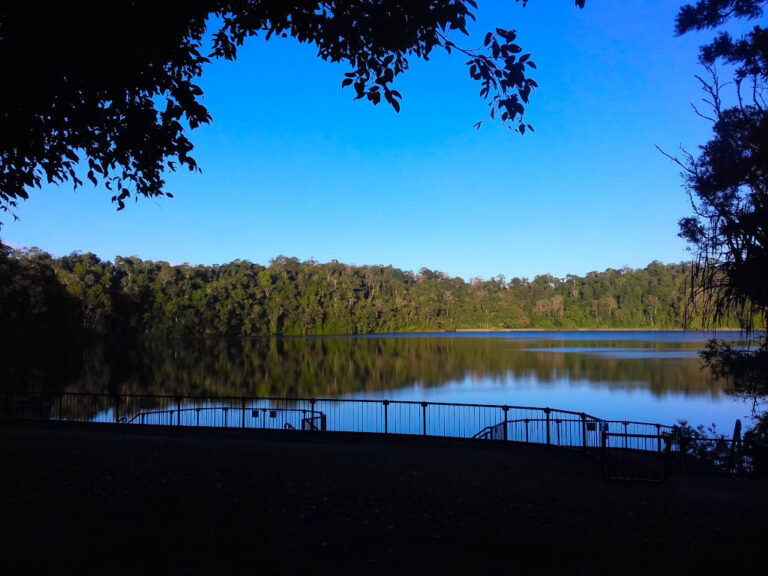 lake eacham crater lakes national park queensland 2 768x576