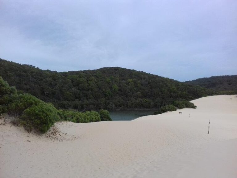 lake wabby fraser island queensland 1 768x576