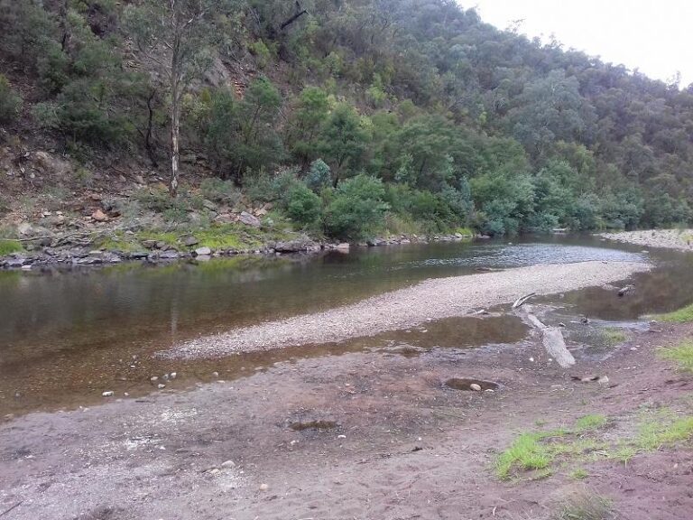 macalister river cheynes bridge victoria 1 768x576
