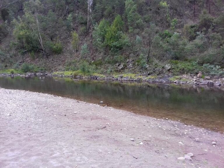macalister river cheynes bridge victoria 2 768x576