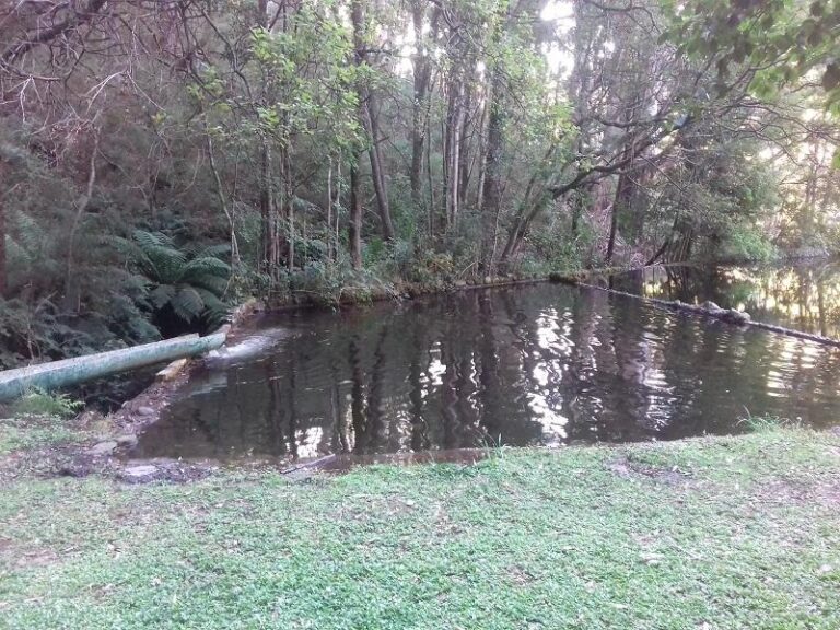 mirimbah swimming hole mount buller victoria 1 768x576