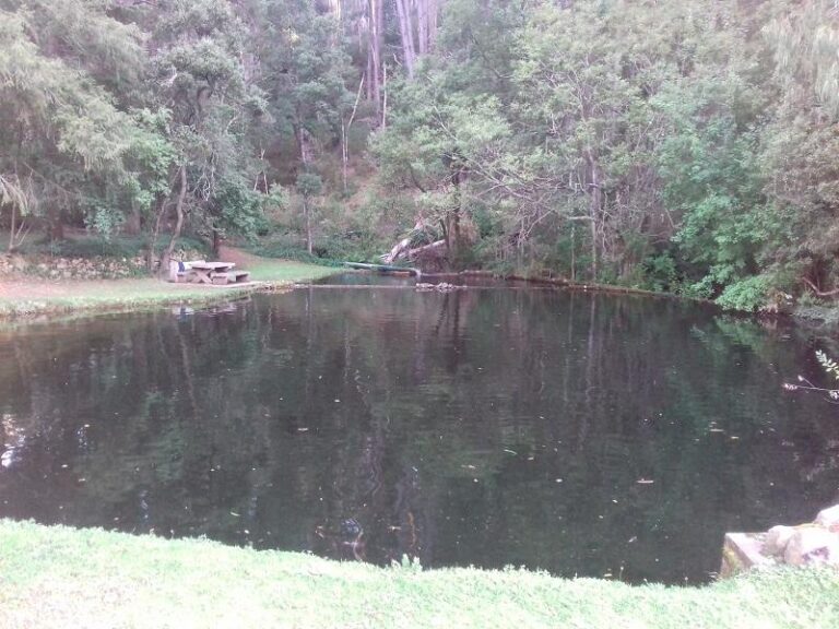 mirimbah swimming hole mount buller victoria 768x576