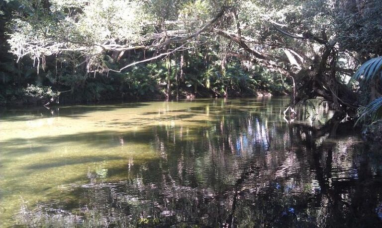 mossman river mossman queensland 2 768x459