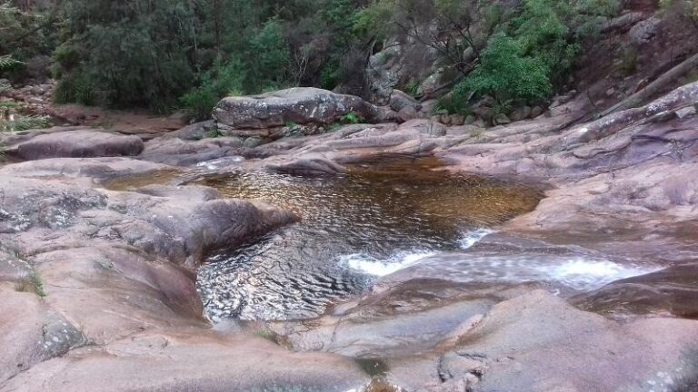 mumbulla creek falls bega new south wales 2 768x432