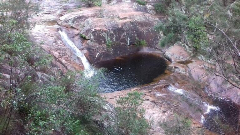 mumbulla creek falls bega new south wales 768x432
