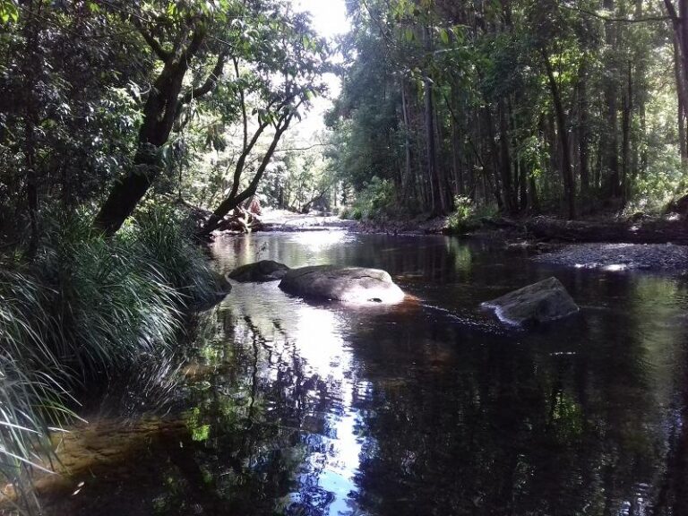 never never creek old bridge swimming hole promised land new south wales 2 768x576