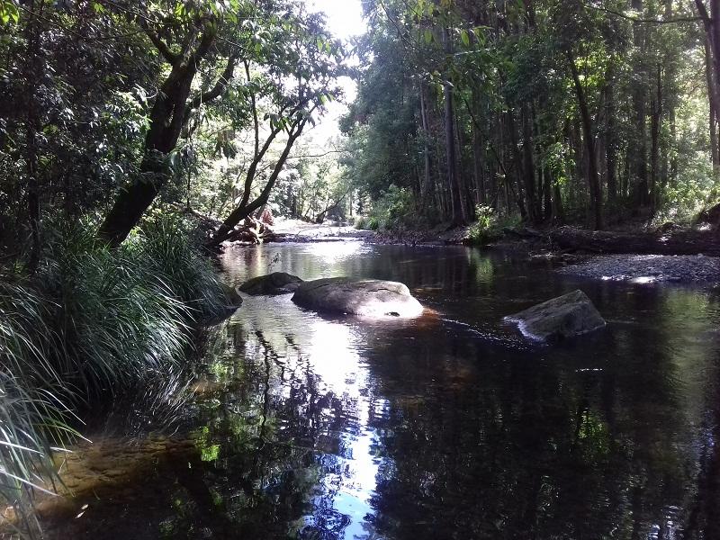 never never creek old bridge swimming hole promised land new south wales 2