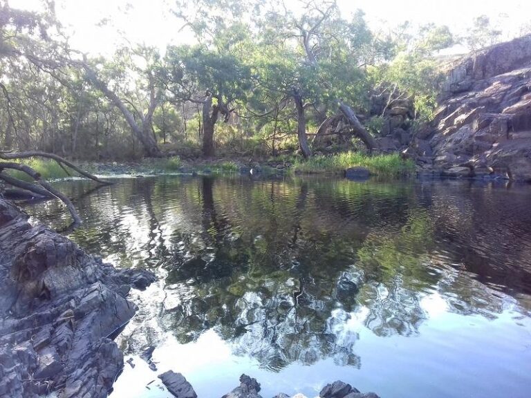 nigretta falls hamilton victoria 2 768x576