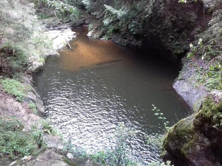 potoroo falls tapin tops national park new south wales 1 768x576