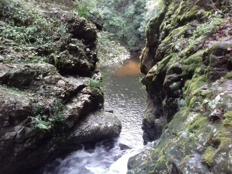 potoroo falls tapin tops national park new south wales 2 768x576
