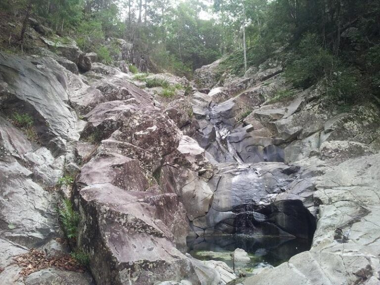 south pine river mount nebo queensland 1 768x576