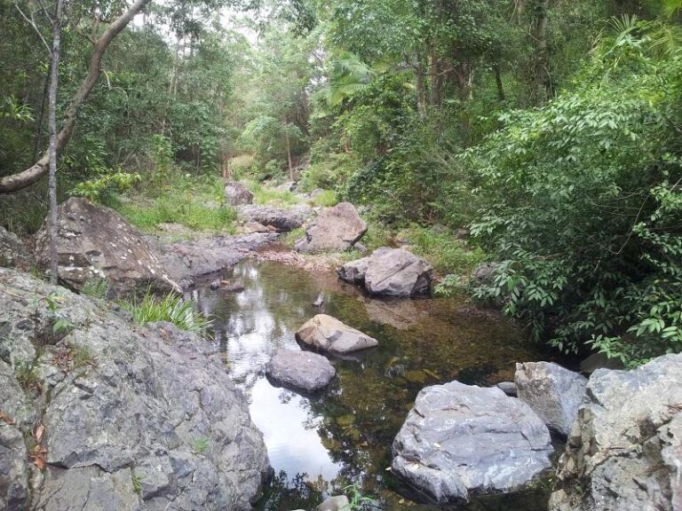 south pine river mount nebo queensland 2 768x576