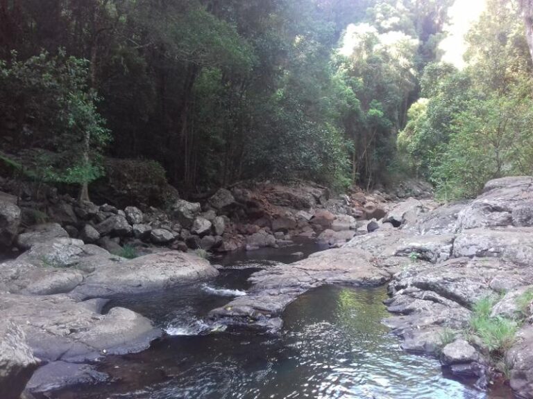 the lips swimming hole beechmont queensland 1 768x576