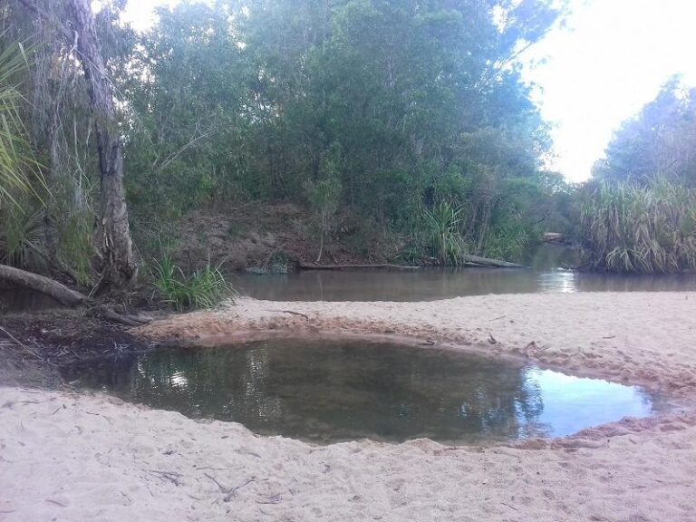 tjuwaliyn douglas hot springs douglas northern territory 768x576
