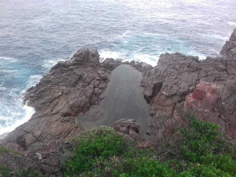 tura head rock pool tura beach new south wales 1 768x576