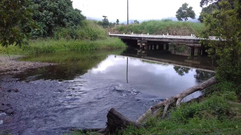 upper liverpool creek mena creek queensland 768x432