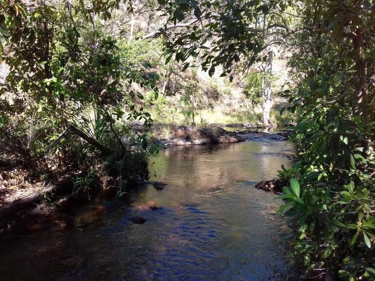 walker creek litchfield national park northern territory 1 768x576