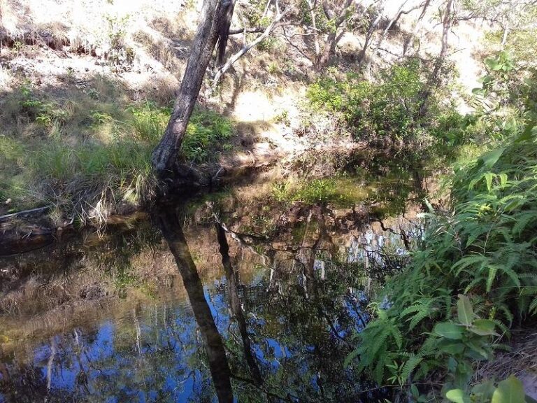 walker creek litchfield national park northern territory 2 768x576