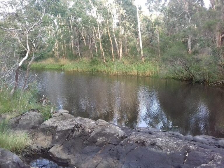 wannon falls wannon victoria 1 768x576