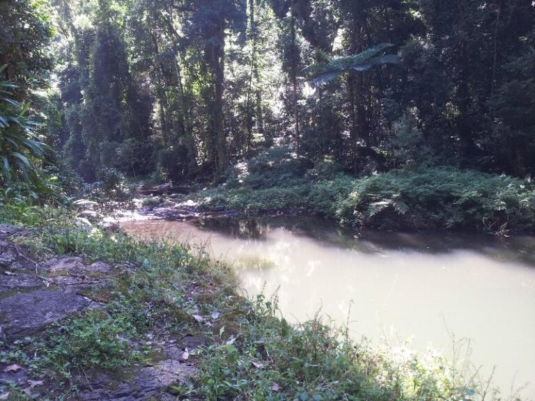 yerralahla blue pool lamington national park queensland 768x576