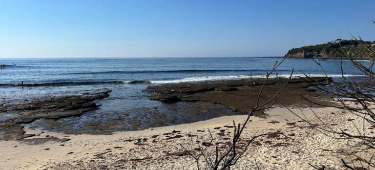 mollymook bogey hole mollymook nsw 768x348