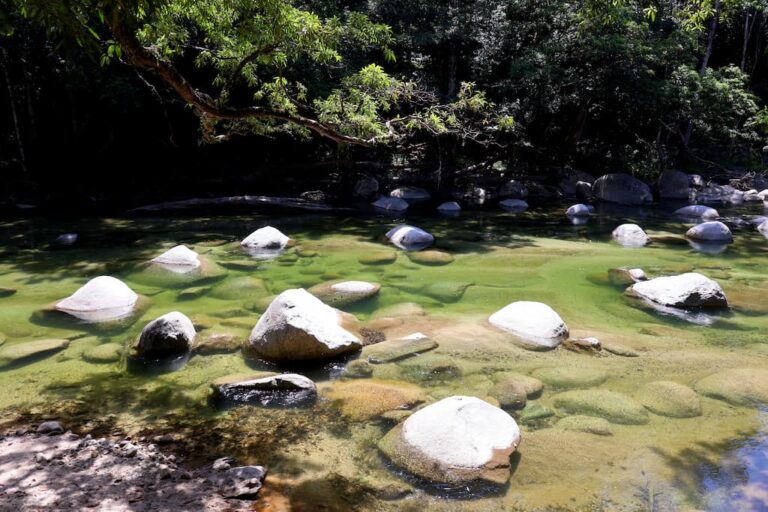 mossman gorge mossman qld au 768x512