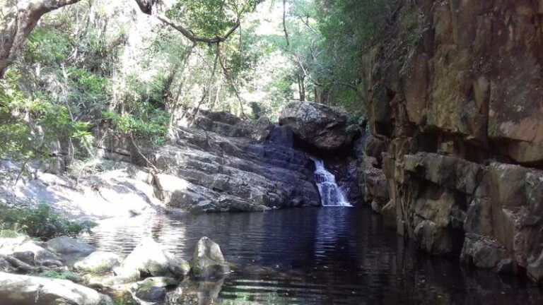 old weir falls kamerunga qld au 768x432