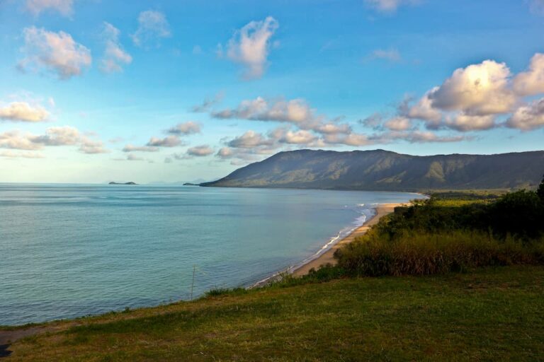 rex lookout wangetti qld au 768x512