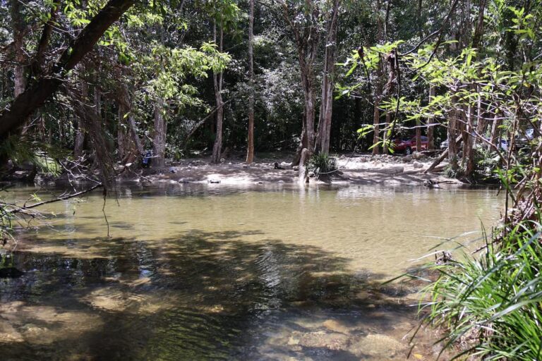 shannonvale swimming hole shannonvale qld au 768x512