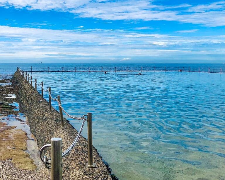 shelly beach ocean pool cronulla nsw 768x612