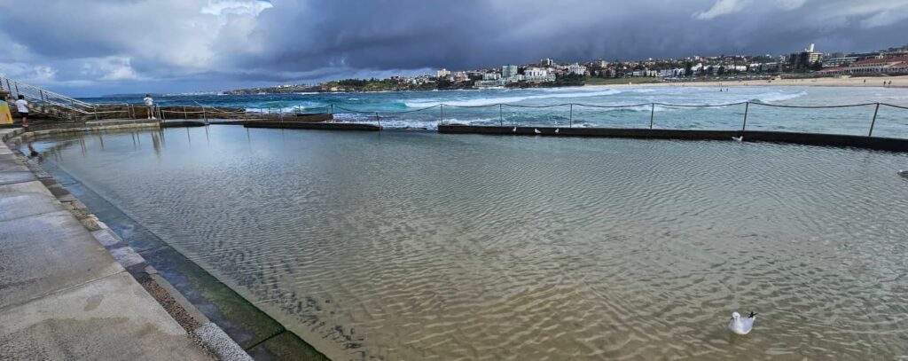 wally weekes ocean pool north bondi nsw 1024x407